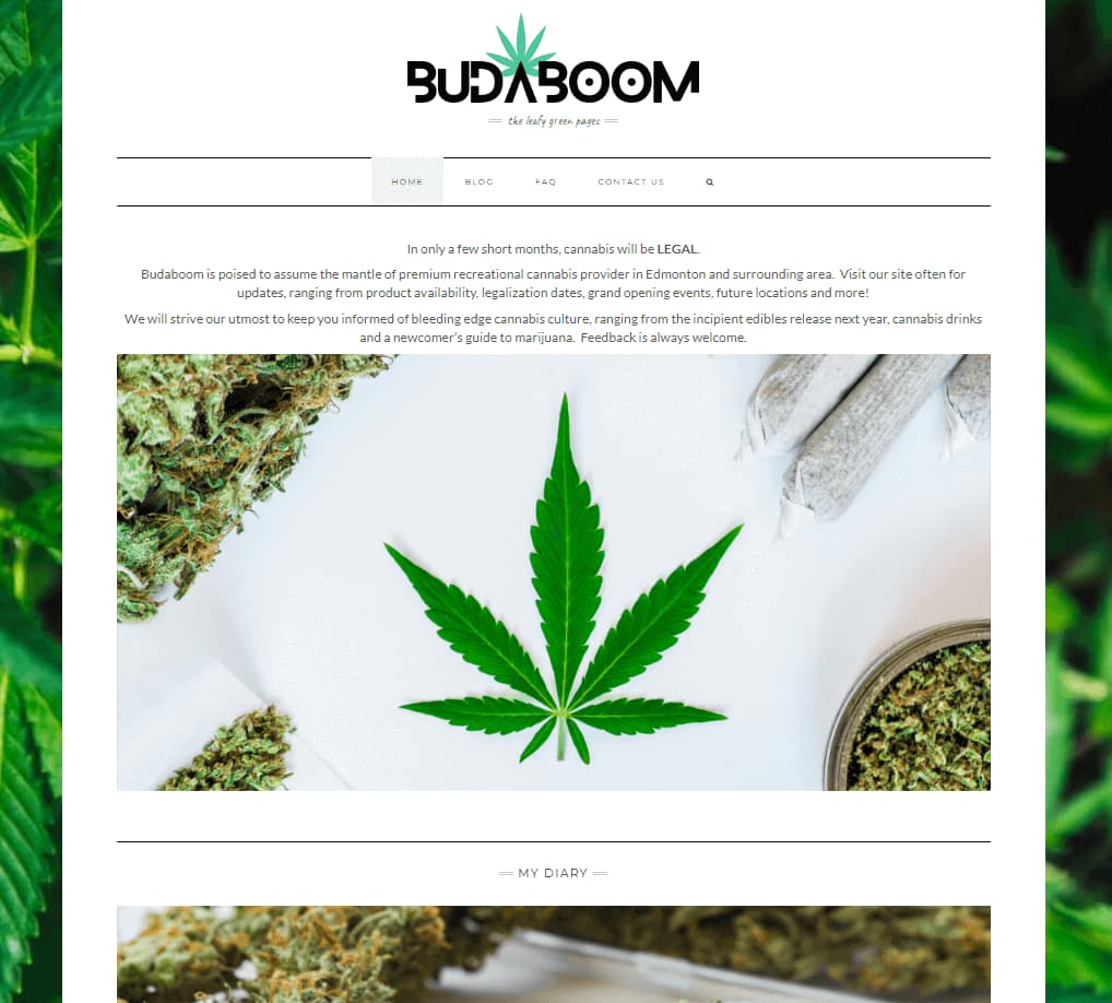 Read more about the article BudaBoom